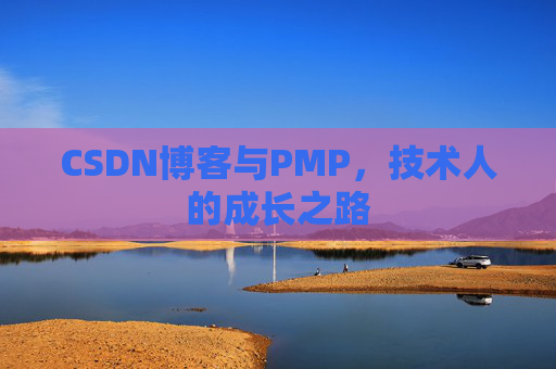 CSDN博客与PMP，技术人的成长之路