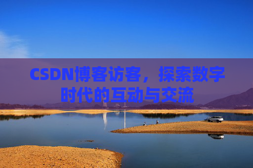 CSDN博客访客，探索数字时代的互动与交流